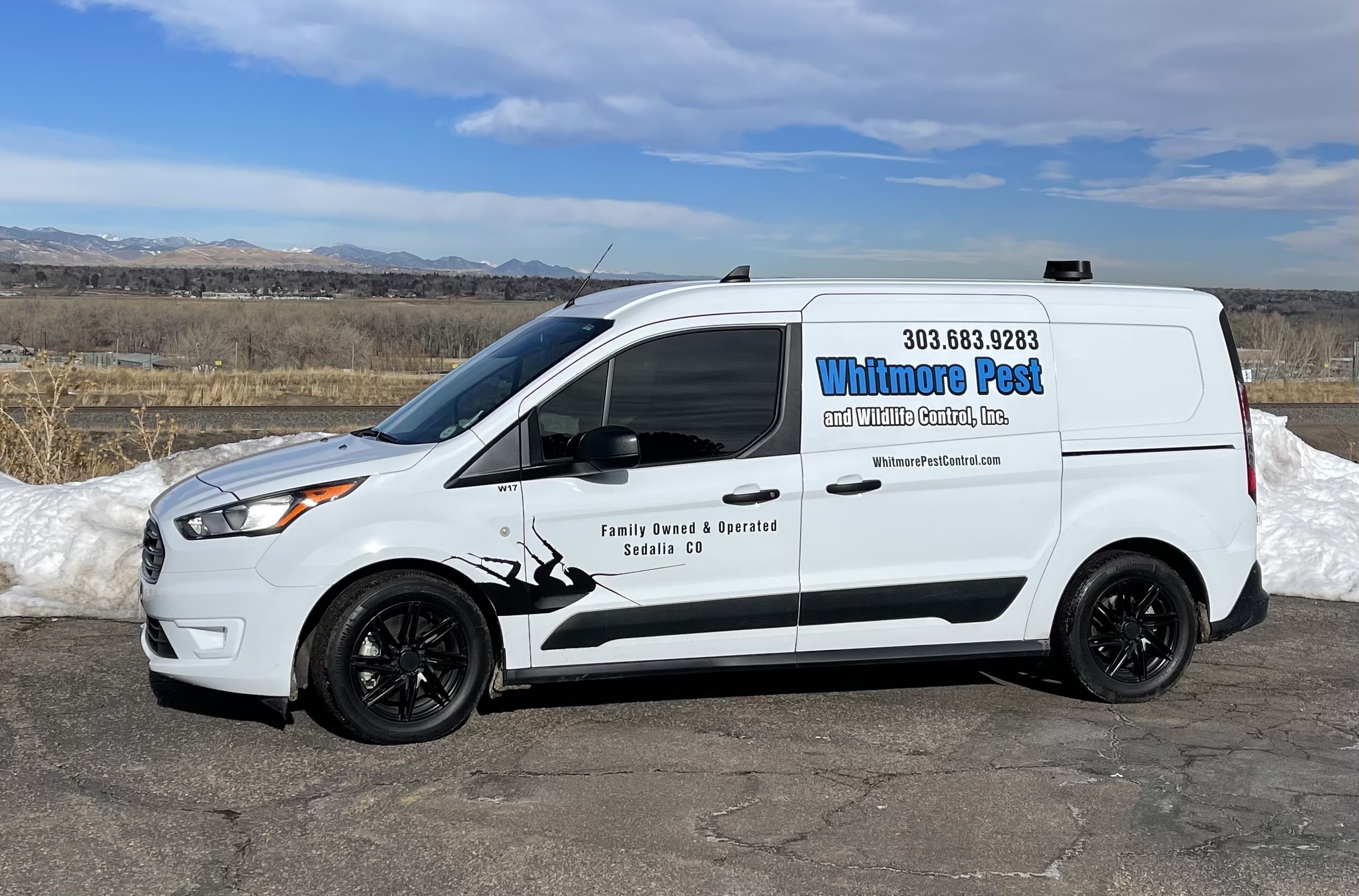 Pest Removal around Pontiac, Michigan thumbnail