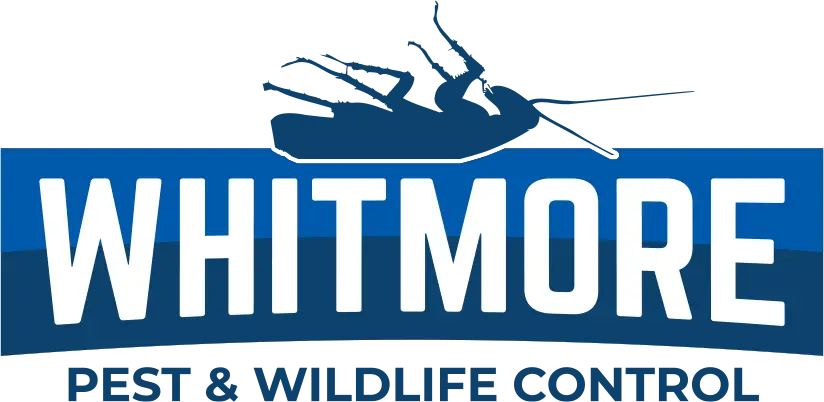 Whitmore Pest & Wildlife Control, Inc
