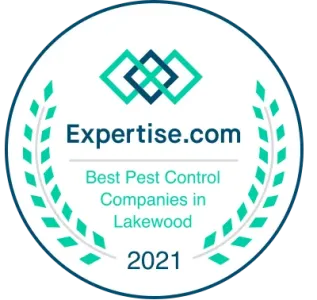 Expertise.com award 2021 Lakewood CO