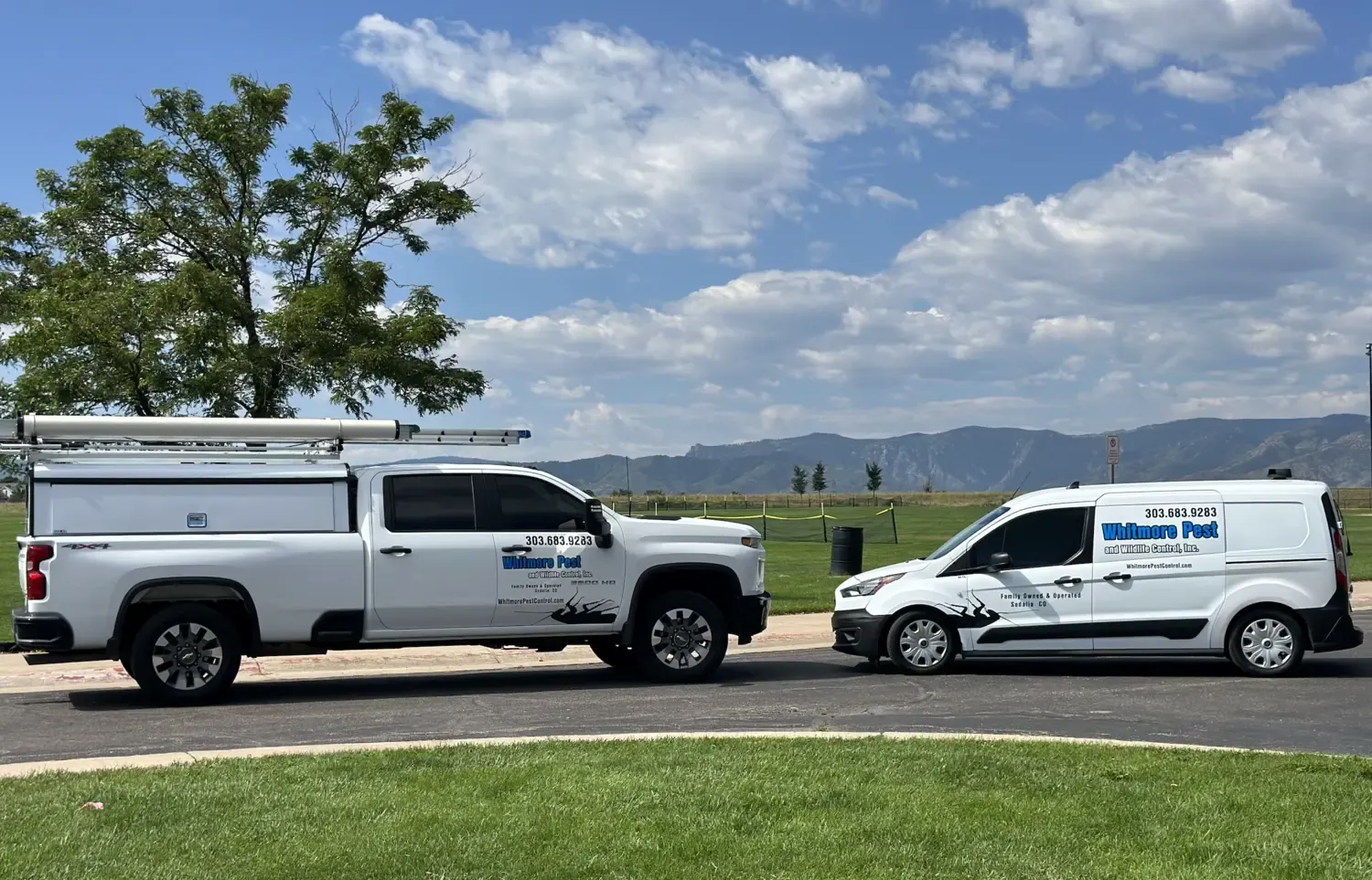 whitmore trucks in front of the denver mountains