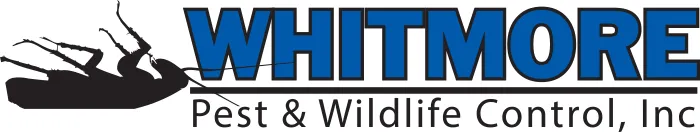 Whitmore Pest & Wildlife Control, Inc