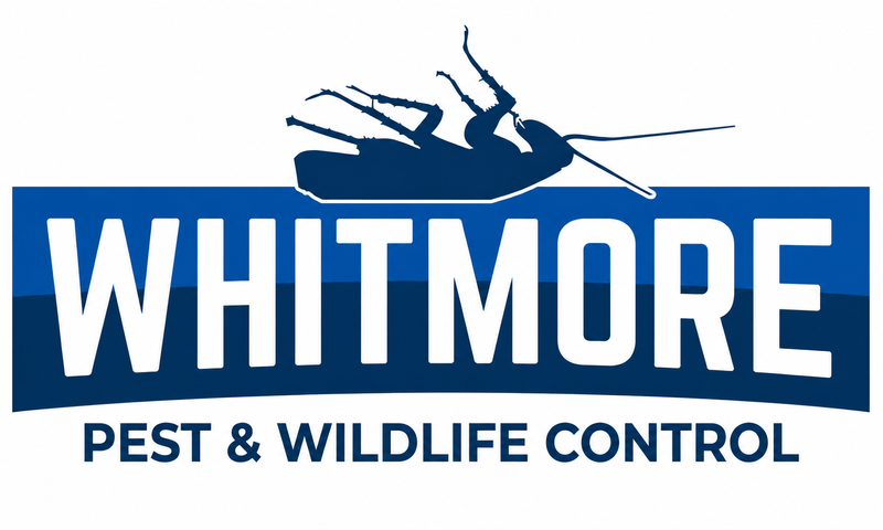 whitmore logo