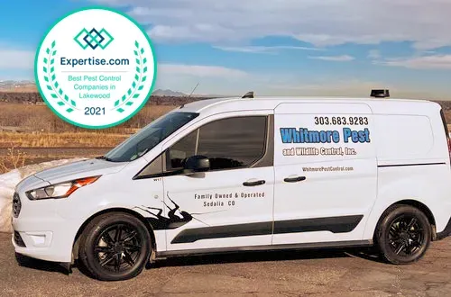 Whitmore Pest Control vehicle